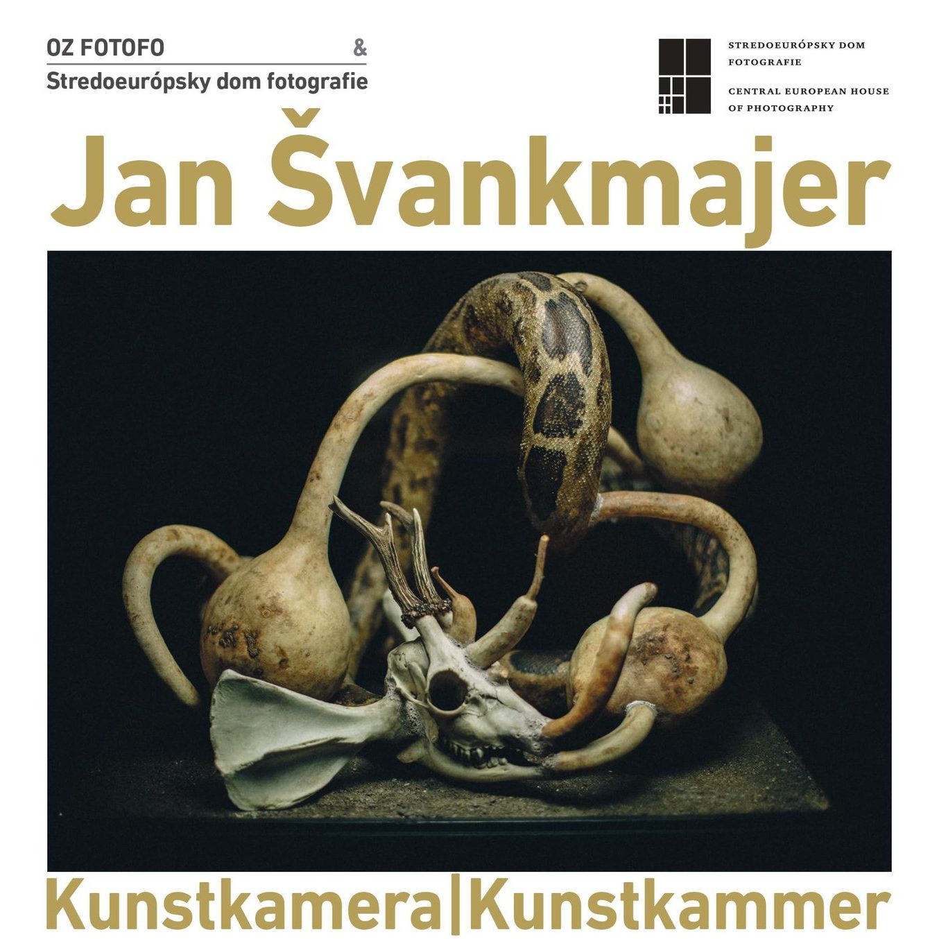 Jan Švankmajer: Kunstkamera|Kunstkammer